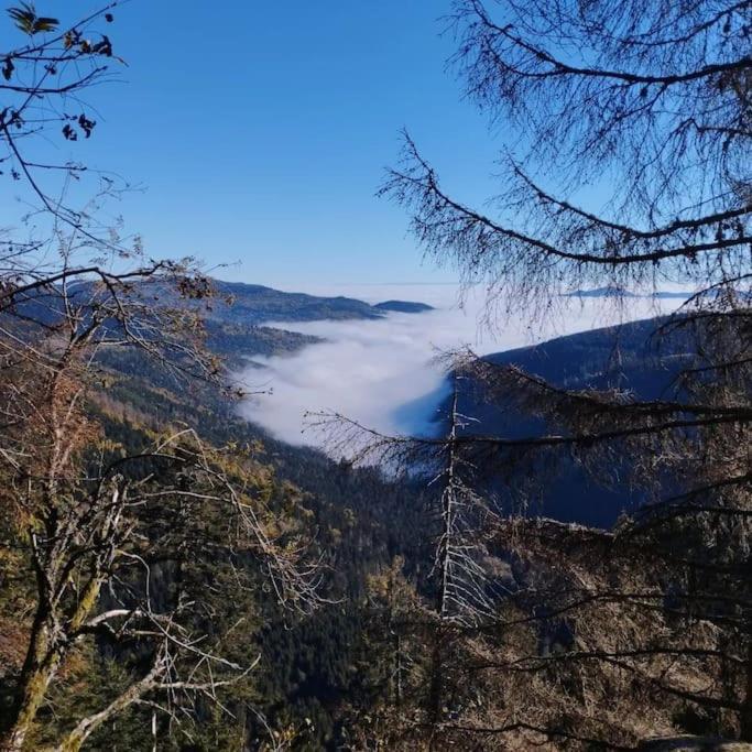 Aux Balcons De La Vallee Soultzeren エクステリア 写真