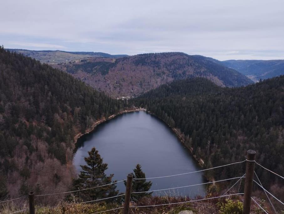Aux Balcons De La Vallee Soultzeren エクステリア 写真