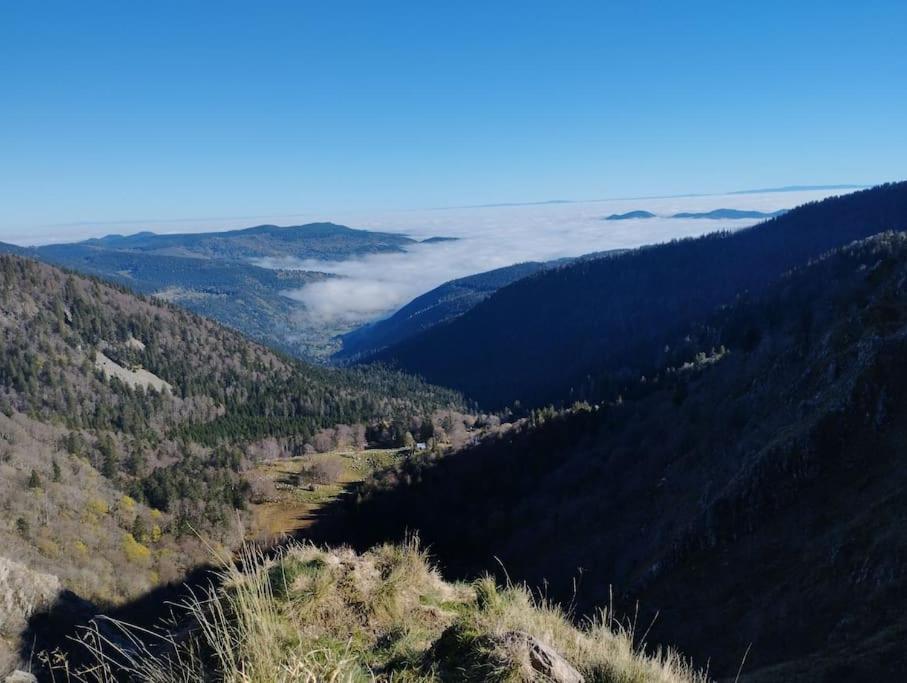 Aux Balcons De La Vallee Soultzeren エクステリア 写真