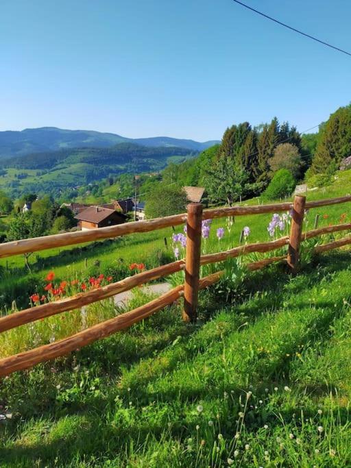 Aux Balcons De La Vallee Soultzeren エクステリア 写真