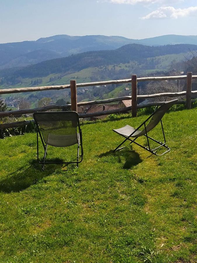 Aux Balcons De La Vallee Soultzeren エクステリア 写真