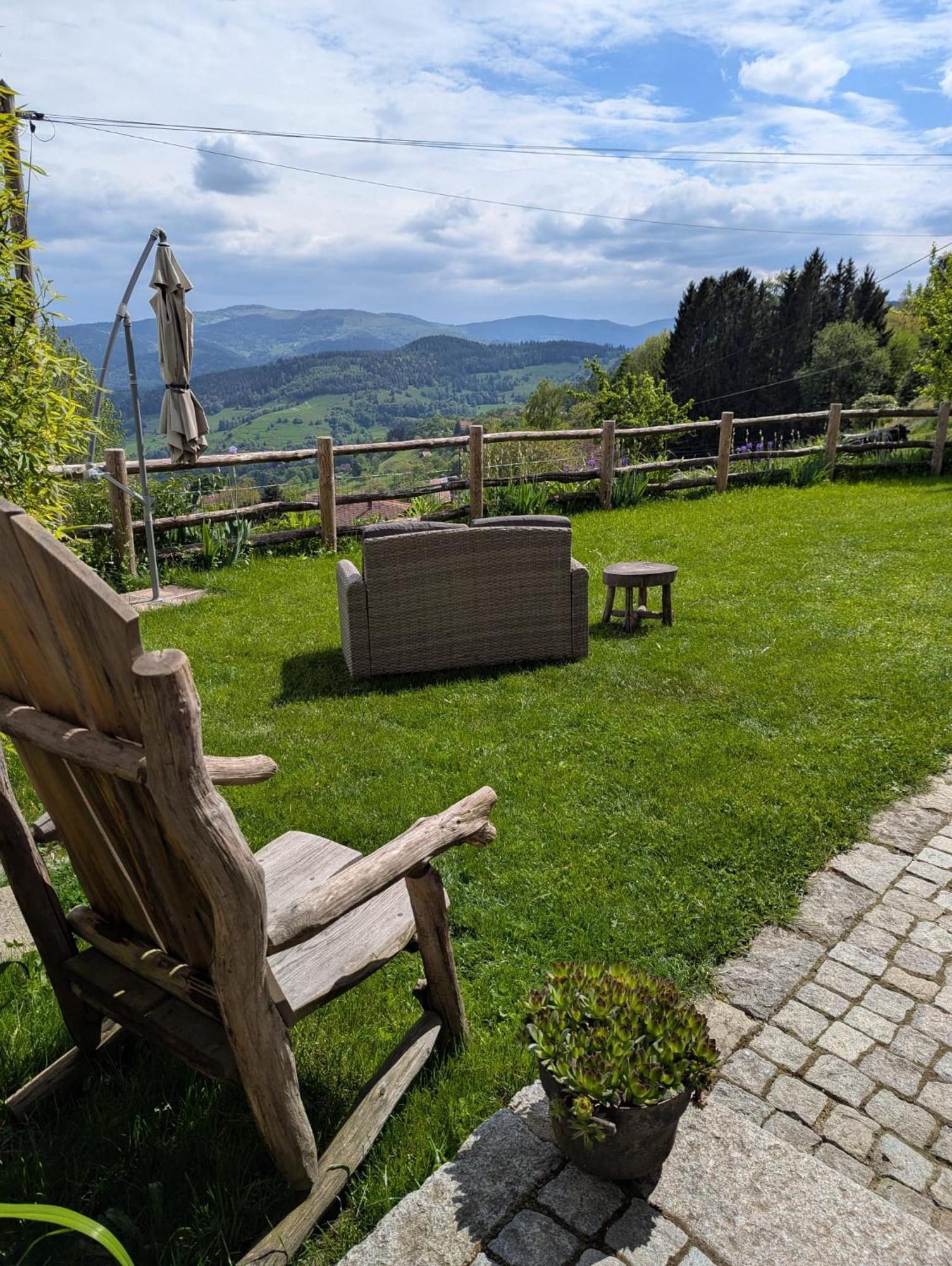 Aux Balcons De La Vallee Soultzeren エクステリア 写真